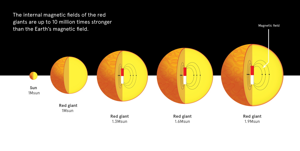 Ultrastrong Magnetic Fields Beat at the Heart of Dying Stars